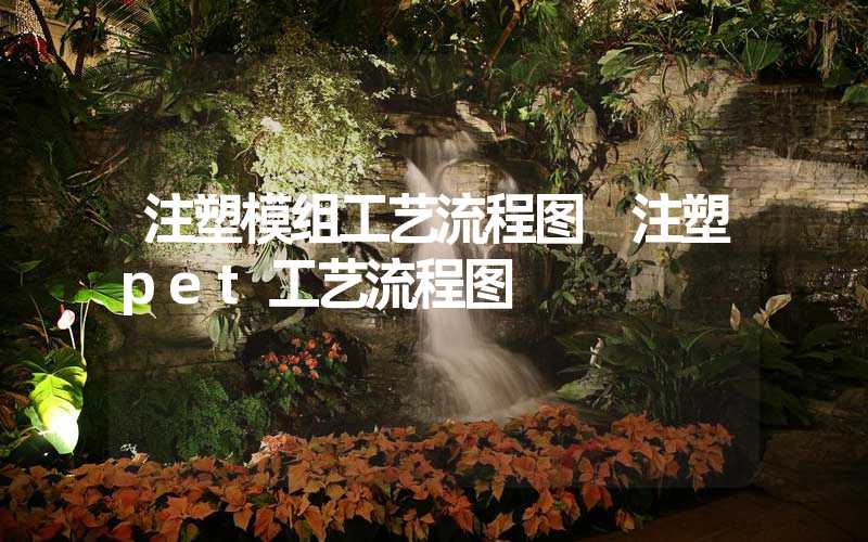 注塑模组工艺流程图 注塑pet工艺流程图
